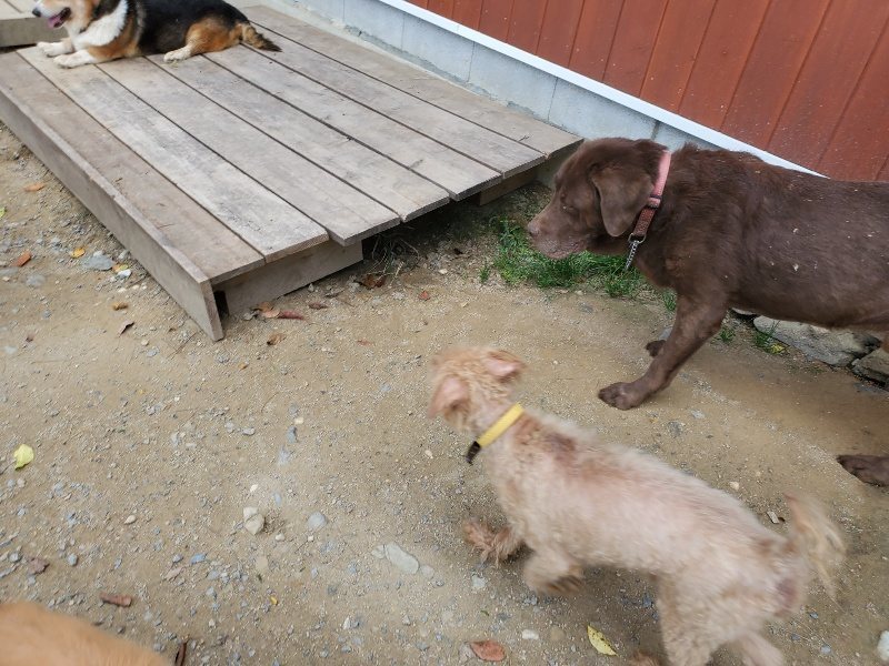 f:id:roukenhome-ann:20191003130135j:plain f:id:roukenhome-ann:20191003130135j:plain