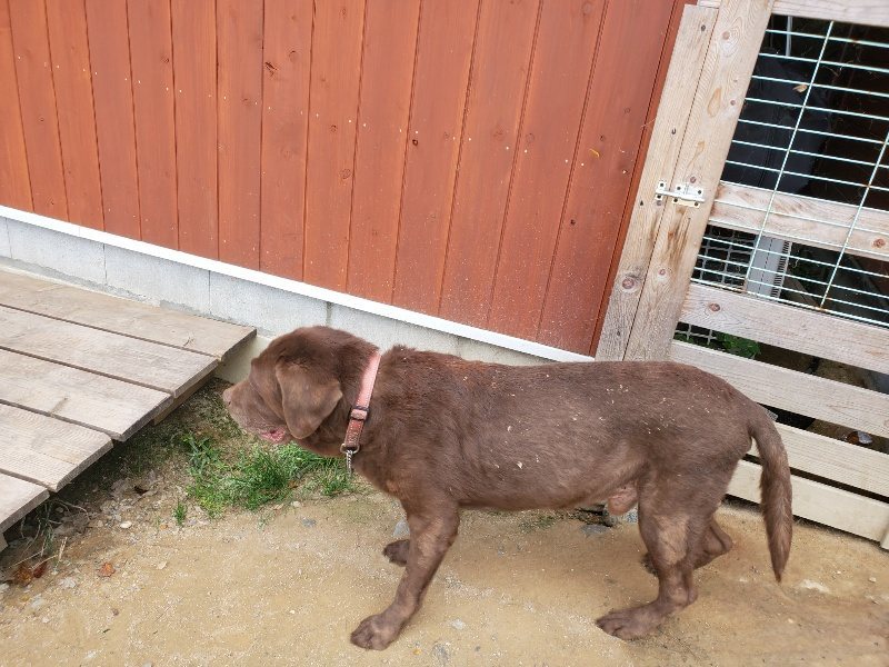 f:id:roukenhome-ann:20191003130140j:plain f:id:roukenhome-ann:20191003130140j:plain