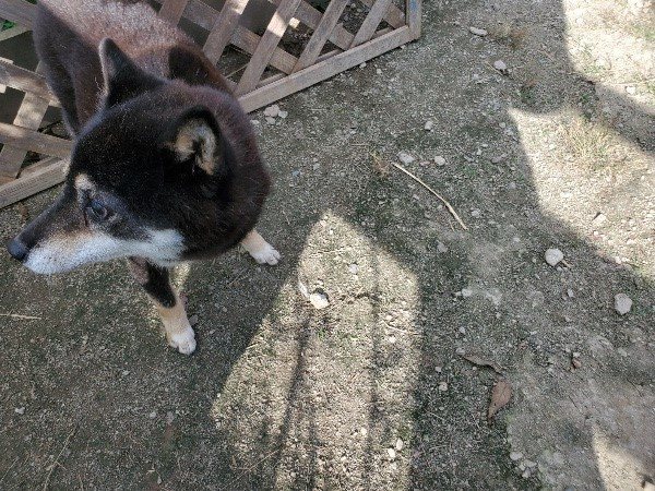 f:id:roukenhome-ann:20191003130152j:plain f:id:roukenhome-ann:20191003130152j:plain