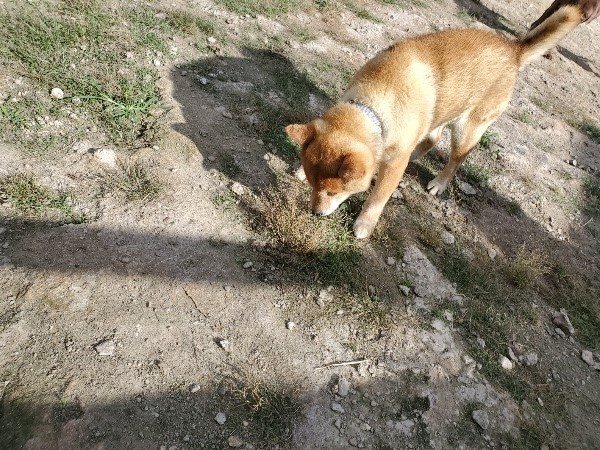 f:id:roukenhome-ann:20191003130203j:plain f:id:roukenhome-ann:20191003130203j:plain