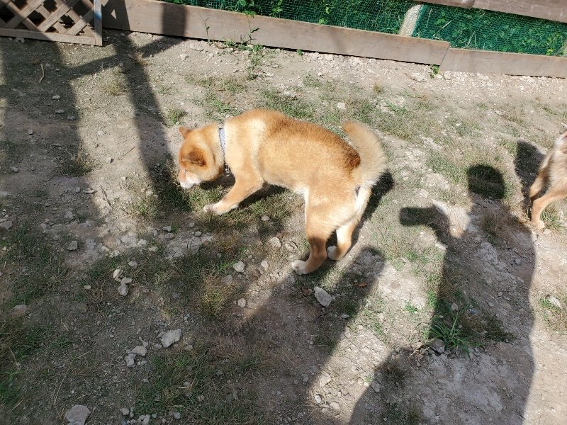 f:id:roukenhome-ann:20191003130208j:plain f:id:roukenhome-ann:20191003130208j:plain