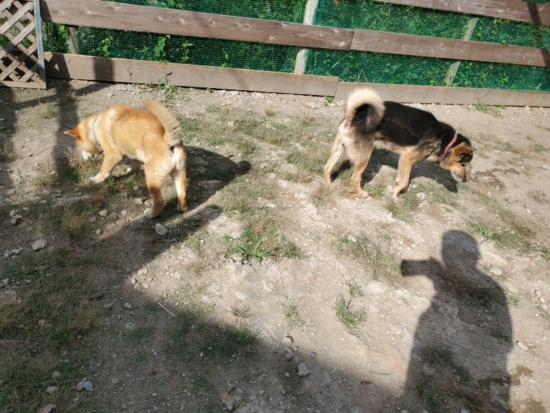 f:id:roukenhome-ann:20191003130213j:plain f:id:roukenhome-ann:20191003130213j:plain