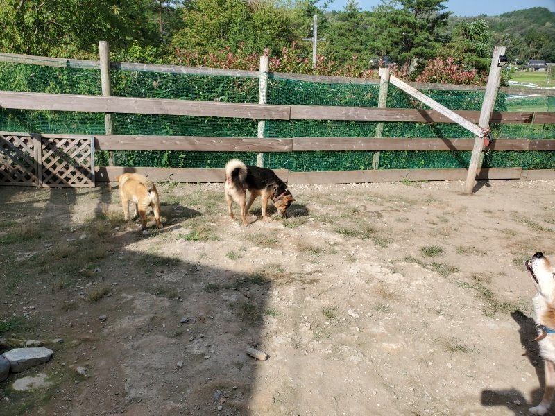 f:id:roukenhome-ann:20191003130226j:plain f:id:roukenhome-ann:20191003130226j:plain