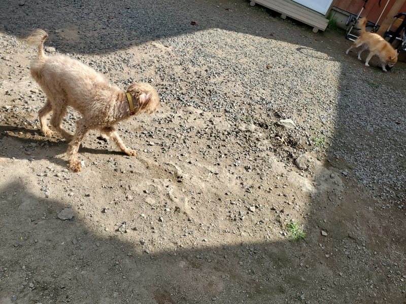 f:id:roukenhome-ann:20191003130238j:plain f:id:roukenhome-ann:20191003130238j:plain