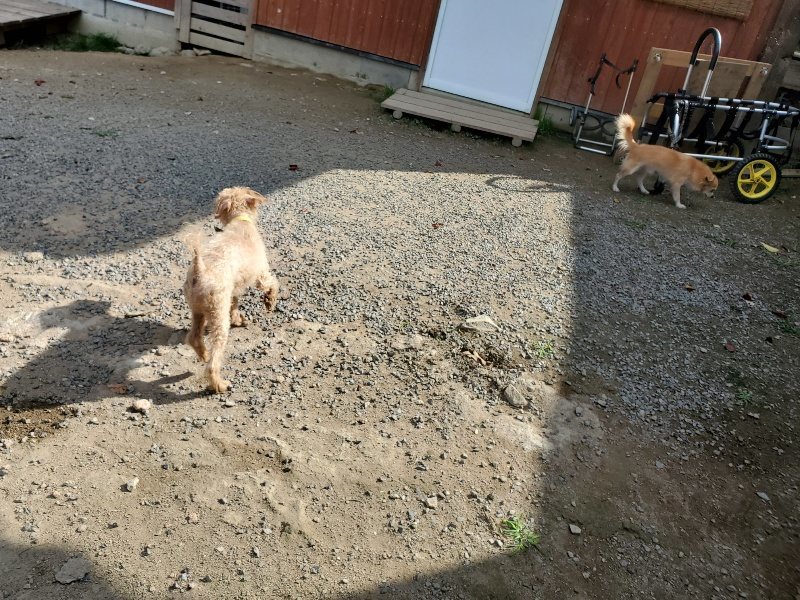 f:id:roukenhome-ann:20191003130244j:plain f:id:roukenhome-ann:20191003130244j:plain