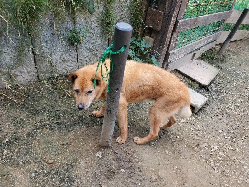 f:id:roukenhome-ann:20191003130249j:plain f:id:roukenhome-ann:20191003130249j:plain