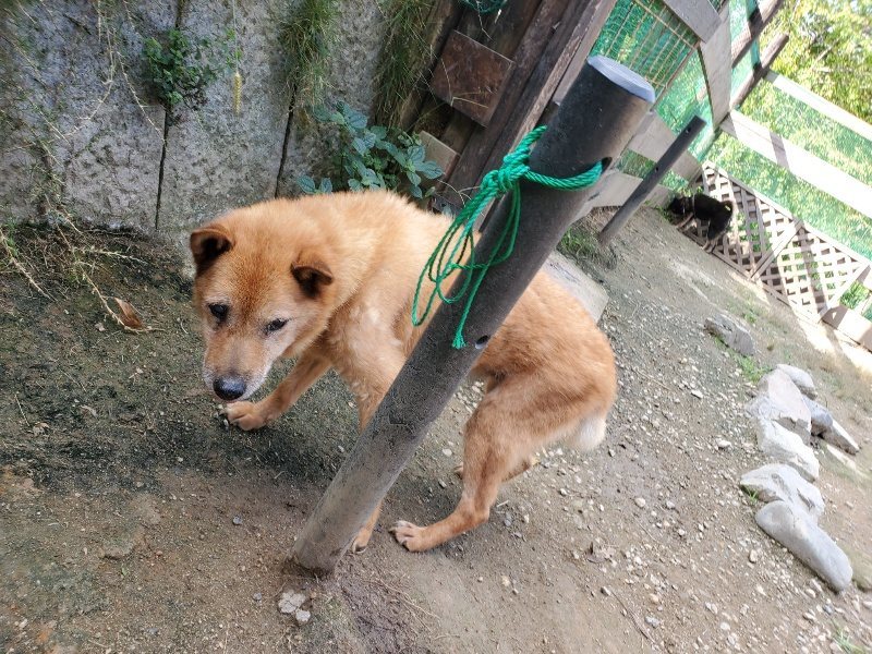 f:id:roukenhome-ann:20191003130256j:plain f:id:roukenhome-ann:20191003130256j:plain