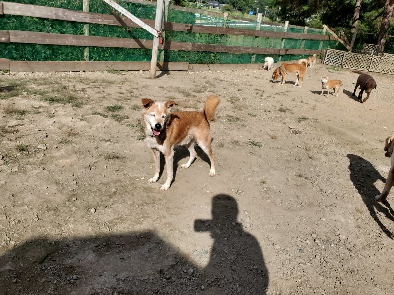 f:id:roukenhome-ann:20191003130301j:plain f:id:roukenhome-ann:20191003130301j:plain