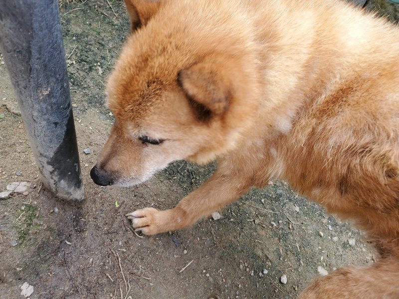 f:id:roukenhome-ann:20191003130314j:plain f:id:roukenhome-ann:20191003130314j:plain