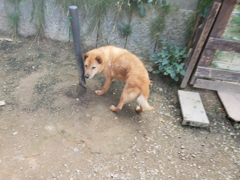 f:id:roukenhome-ann:20191003130320j:plain f:id:roukenhome-ann:20191003130320j:plain