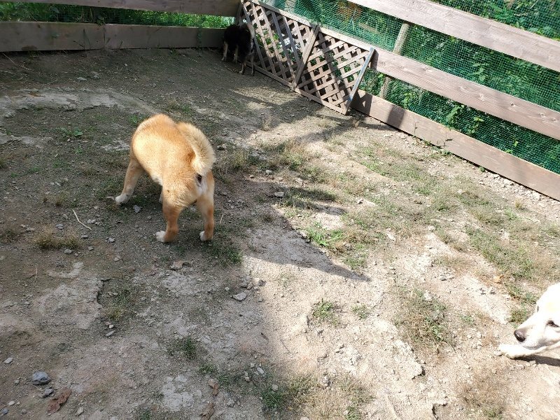 f:id:roukenhome-ann:20191003130337j:plain f:id:roukenhome-ann:20191003130337j:plain