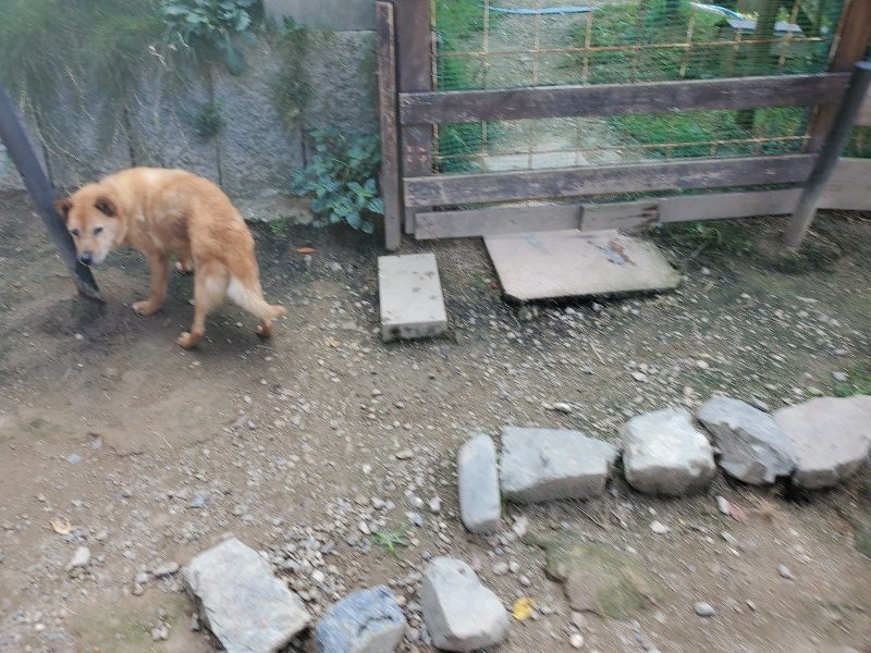 f:id:roukenhome-ann:20191003130342j:plain f:id:roukenhome-ann:20191003130342j:plain