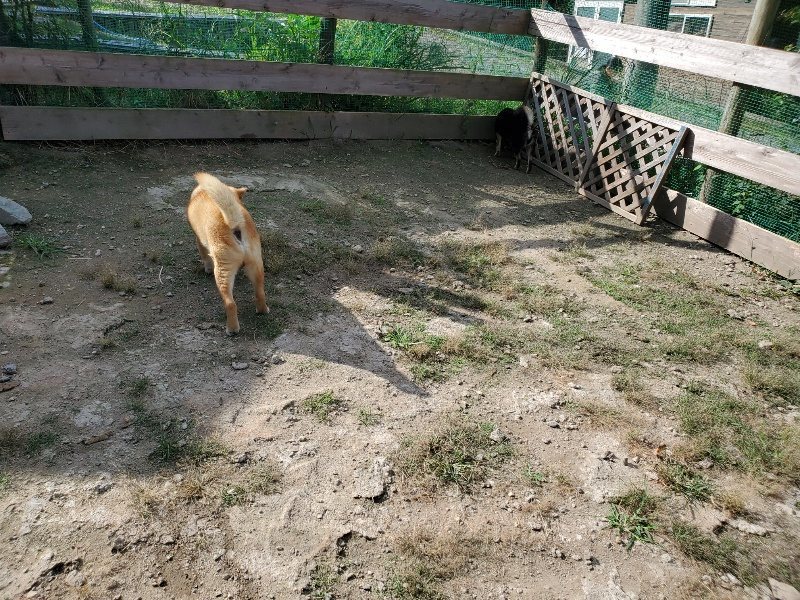 f:id:roukenhome-ann:20191003130349j:plain f:id:roukenhome-ann:20191003130349j:plain