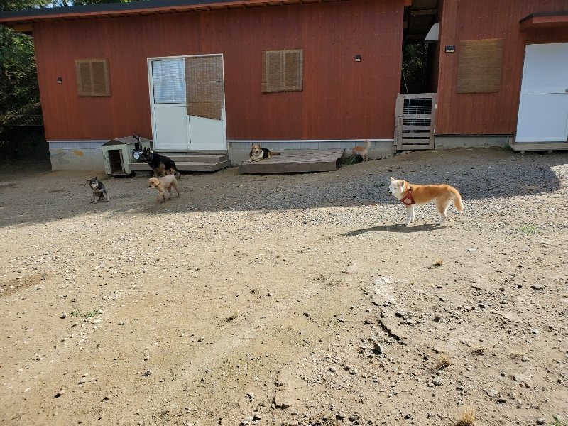 f:id:roukenhome-ann:20191003130359j:plain f:id:roukenhome-ann:20191003130359j:plain