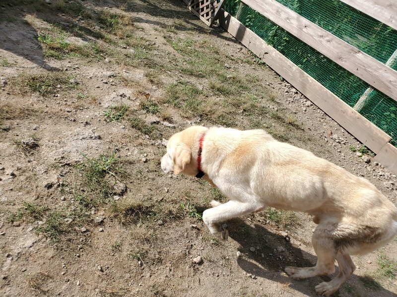 f:id:roukenhome-ann:20191003130405j:plain f:id:roukenhome-ann:20191003130405j:plain