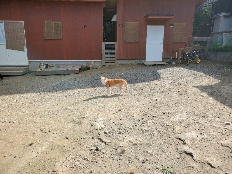 f:id:roukenhome-ann:20191003130410j:plain f:id:roukenhome-ann:20191003130410j:plain