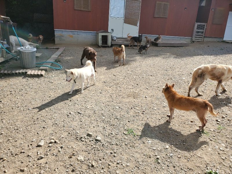 f:id:roukenhome-ann:20191003130549j:plain f:id:roukenhome-ann:20191003130549j:plain