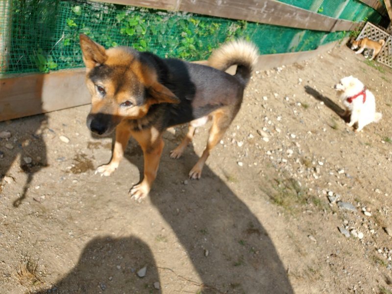 f:id:roukenhome-ann:20191003130606j:plain f:id:roukenhome-ann:20191003130606j:plain