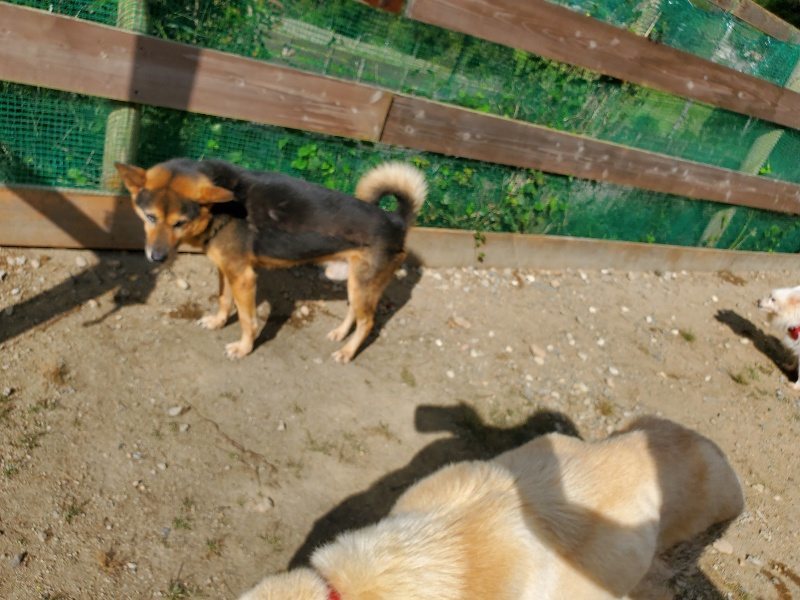 f:id:roukenhome-ann:20191003130623j:plain f:id:roukenhome-ann:20191003130623j:plain