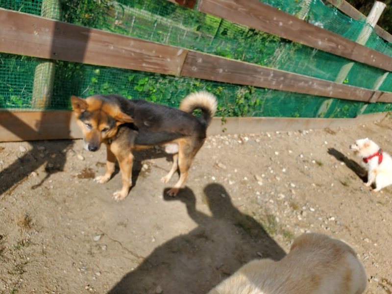 f:id:roukenhome-ann:20191003130627j:plain f:id:roukenhome-ann:20191003130627j:plain