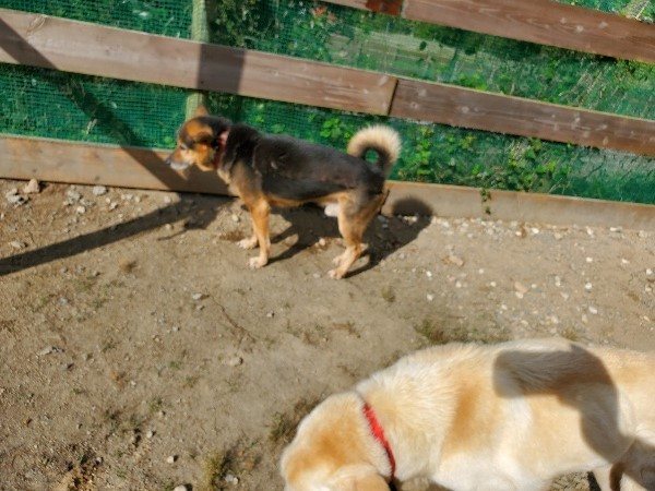 f:id:roukenhome-ann:20191003130632j:plain f:id:roukenhome-ann:20191003130632j:plain