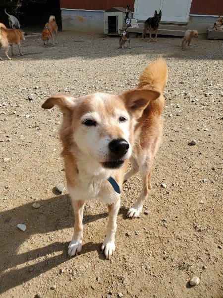 f:id:roukenhome-ann:20191003130649j:plain f:id:roukenhome-ann:20191003130649j:plain