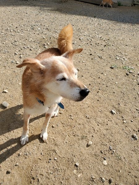 f:id:roukenhome-ann:20191003130654j:plain f:id:roukenhome-ann:20191003130654j:plain