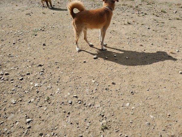 f:id:roukenhome-ann:20191003130716j:plain f:id:roukenhome-ann:20191003130716j:plain