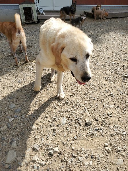 f:id:roukenhome-ann:20191003130721j:plain f:id:roukenhome-ann:20191003130721j:plain