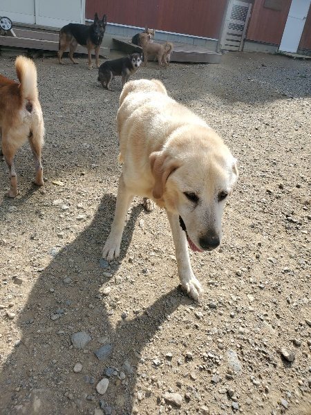 f:id:roukenhome-ann:20191003130726j:plain f:id:roukenhome-ann:20191003130726j:plain