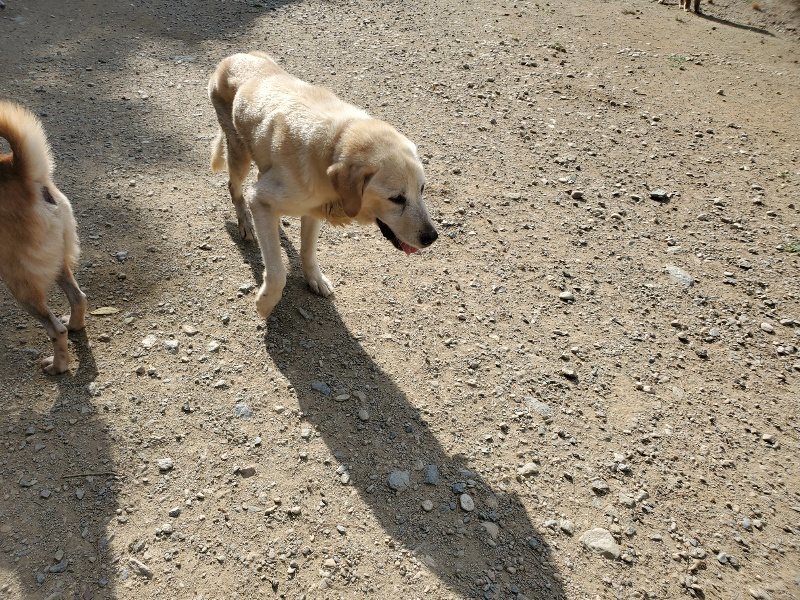 f:id:roukenhome-ann:20191003130744j:plain f:id:roukenhome-ann:20191003130744j:plain