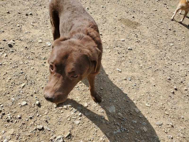 f:id:roukenhome-ann:20191003130758j:plain f:id:roukenhome-ann:20191003130758j:plain