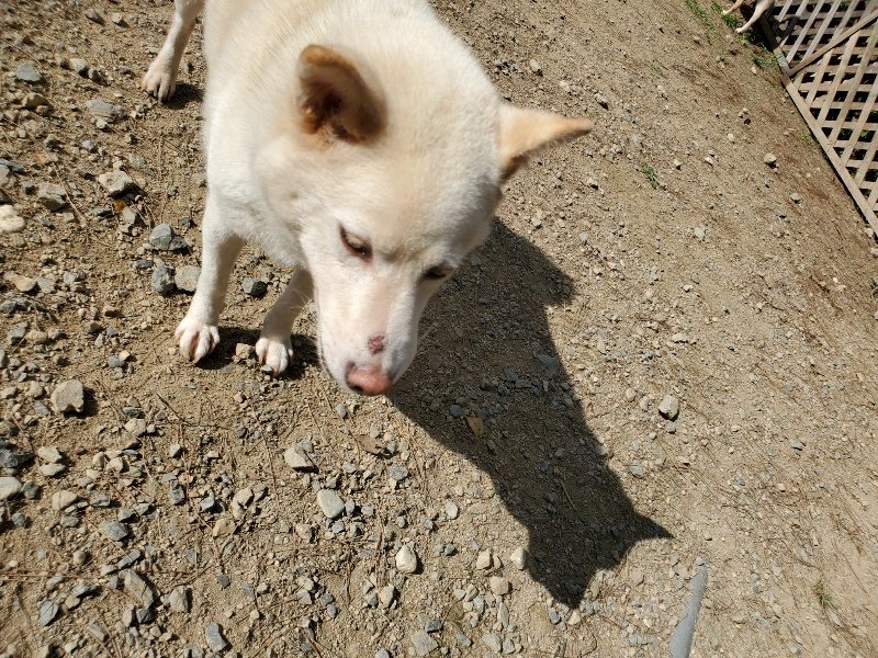 f:id:roukenhome-ann:20191003130805j:plain f:id:roukenhome-ann:20191003130805j:plain