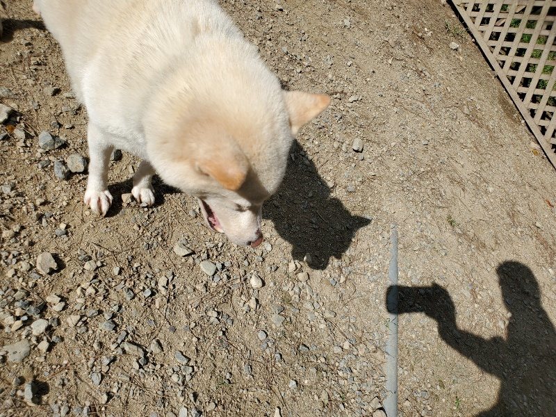 f:id:roukenhome-ann:20191003130811j:plain f:id:roukenhome-ann:20191003130811j:plain