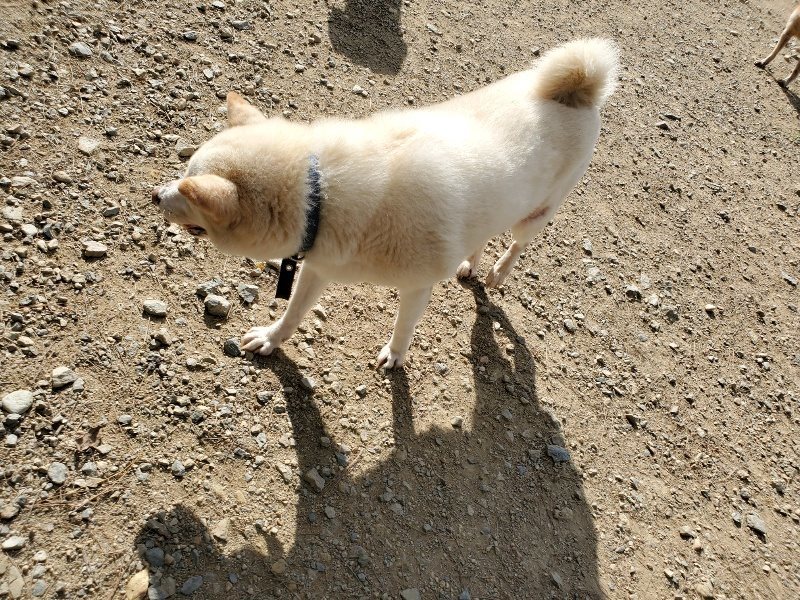 f:id:roukenhome-ann:20191003130818j:plain f:id:roukenhome-ann:20191003130818j:plain