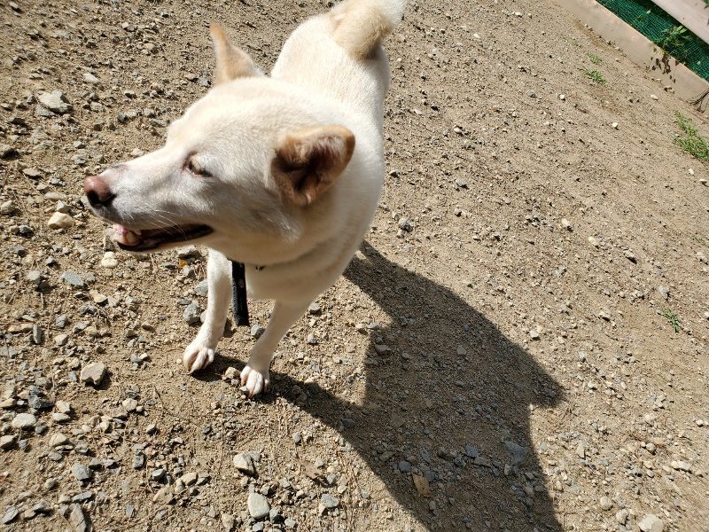 f:id:roukenhome-ann:20191003130823j:plain f:id:roukenhome-ann:20191003130823j:plain