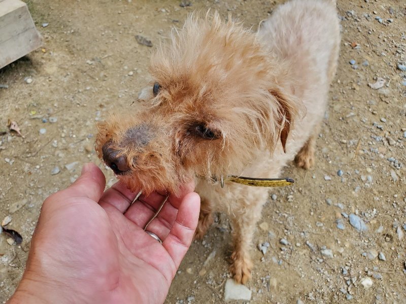 f:id:roukenhome-ann:20191003134919j:plain f:id:roukenhome-ann:20191003134919j:plain