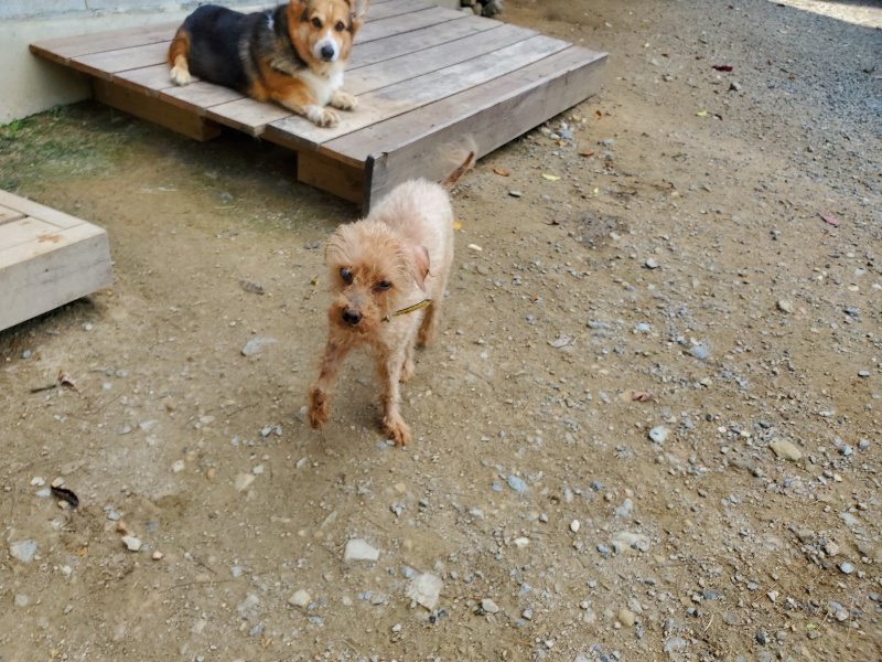 f:id:roukenhome-ann:20191003134925j:plain f:id:roukenhome-ann:20191003134925j:plain