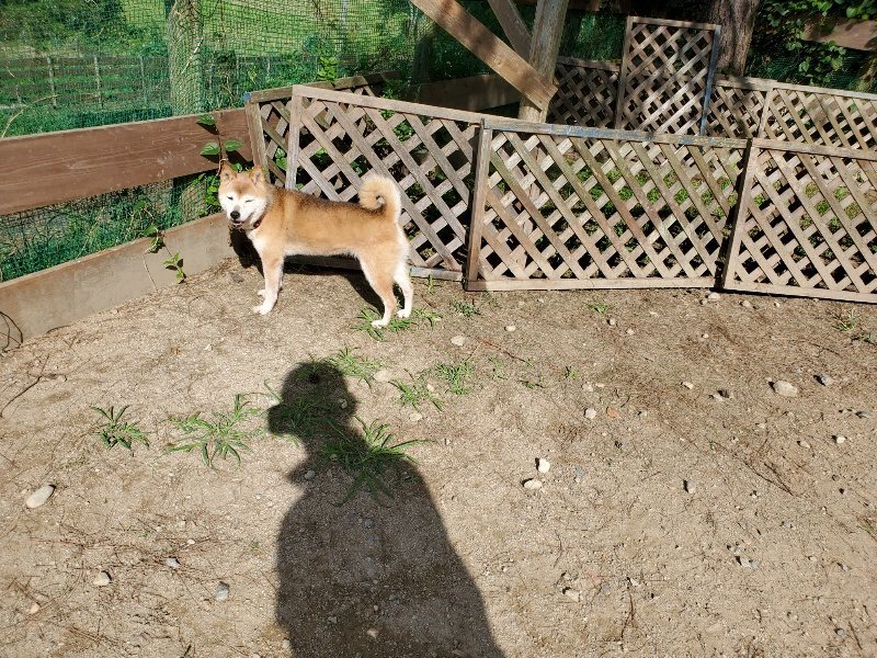 f:id:roukenhome-ann:20191003134951j:plain f:id:roukenhome-ann:20191003134951j:plain