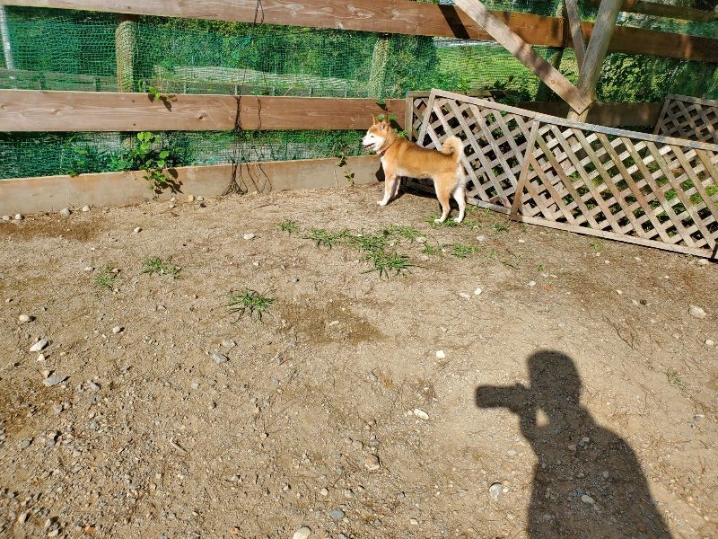 f:id:roukenhome-ann:20191003134958j:plain f:id:roukenhome-ann:20191003134958j:plain