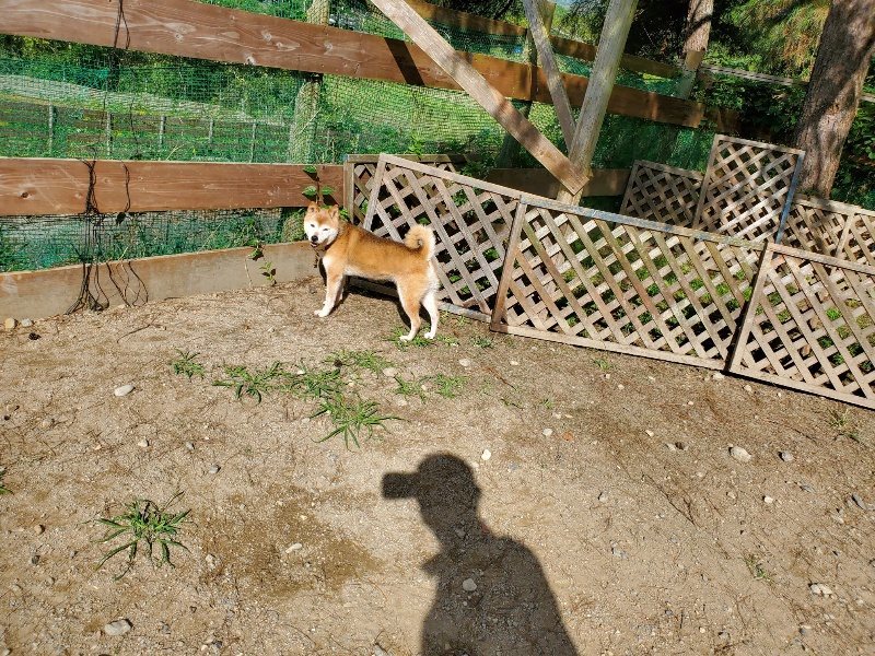 f:id:roukenhome-ann:20191003135005j:plain f:id:roukenhome-ann:20191003135005j:plain