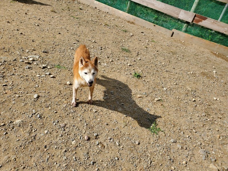 f:id:roukenhome-ann:20191003135010j:plain f:id:roukenhome-ann:20191003135010j:plain