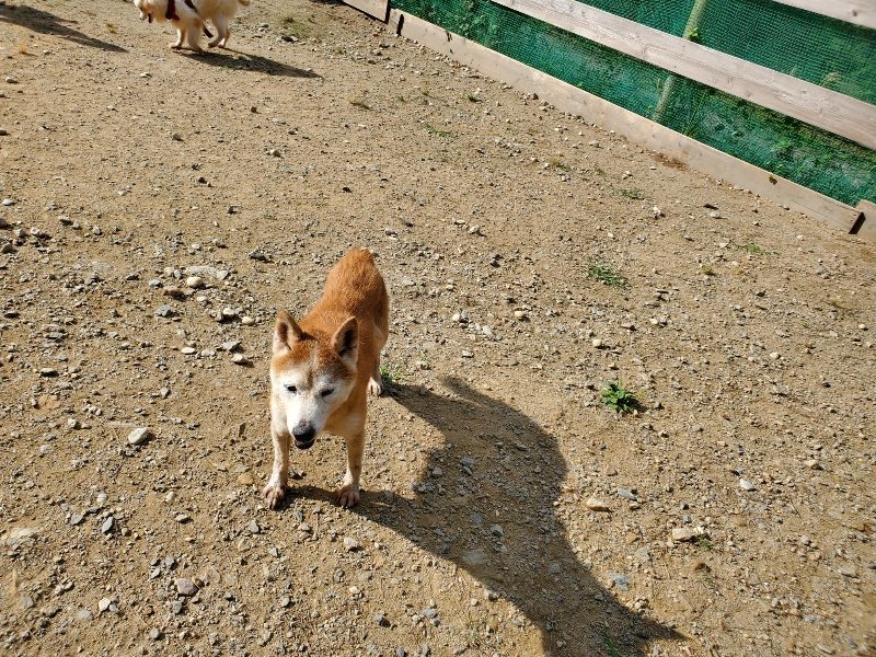 f:id:roukenhome-ann:20191003135016j:plain f:id:roukenhome-ann:20191003135016j:plain