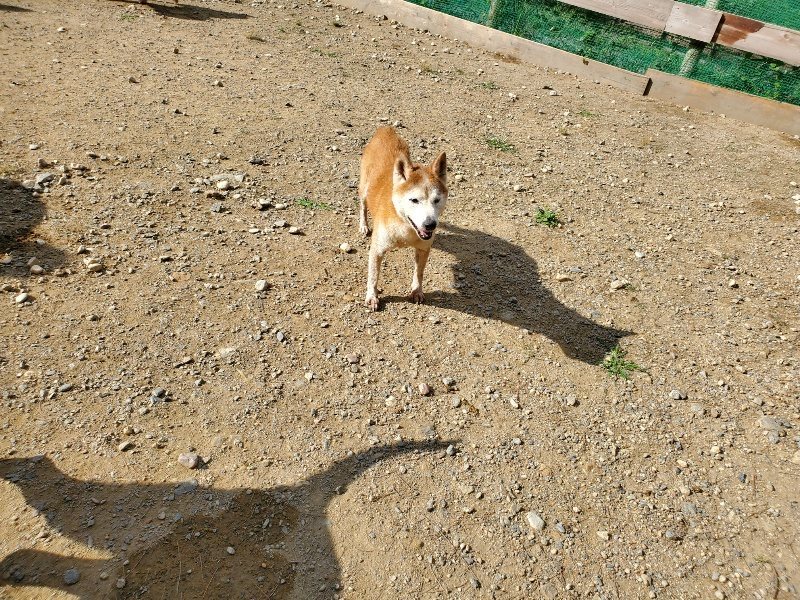 f:id:roukenhome-ann:20191003135030j:plain f:id:roukenhome-ann:20191003135030j:plain