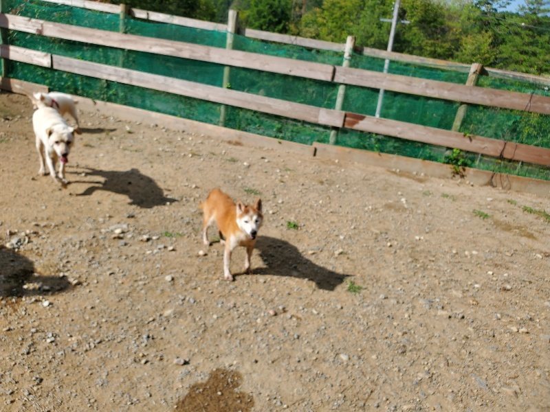 f:id:roukenhome-ann:20191003135035j:plain f:id:roukenhome-ann:20191003135035j:plain