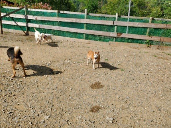 f:id:roukenhome-ann:20191003135044j:plain f:id:roukenhome-ann:20191003135044j:plain