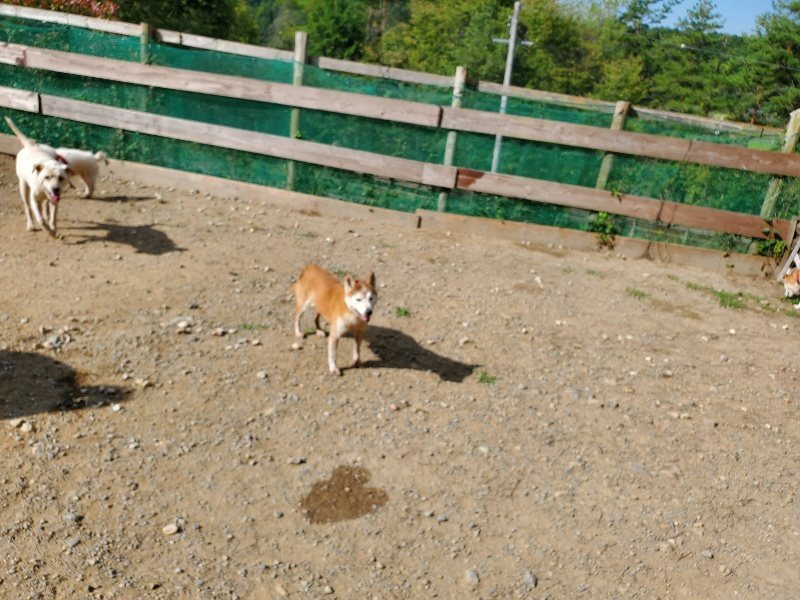 f:id:roukenhome-ann:20191003135048j:plain f:id:roukenhome-ann:20191003135048j:plain