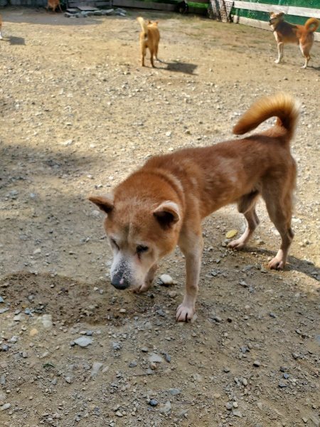 f:id:roukenhome-ann:20191003135053j:plain f:id:roukenhome-ann:20191003135053j:plain