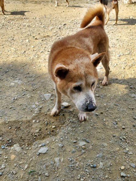 f:id:roukenhome-ann:20191003135058j:plain f:id:roukenhome-ann:20191003135058j:plain