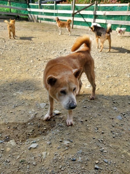 f:id:roukenhome-ann:20191003135105j:plain f:id:roukenhome-ann:20191003135105j:plain